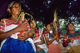 Người Nahua đối mặt với thử thách bảo tồn văn hóa giữa thời đại mới