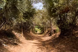 Vùng đất thiên đường hoang dã cuối cùng của Tây Phi