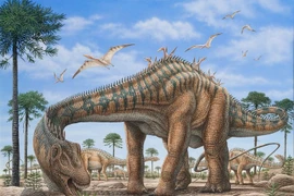 Khám phá khủng long cổ dài nổi bật Kỷ Jura