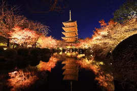 Tháp gỗ cao nhất Nhật Bản và di sản nghìn năm ở Kyoto