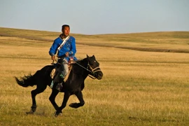 Giải mã giống ngựa huyền thoại giúp Mông Cổ bá chủ thế giới