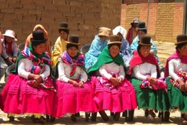 Tộc người Aymara với lá phổi lớn sống trong môi trường khắc nghiệt