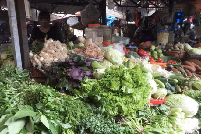 Hà Nội chất vấn về rau vừa phun thuốc bảo vệ thực vật đã được thu hoạch