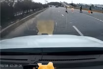 Để con nhỏ chạy qua cao tốc, thái độ của cha mẹ gây tranh cãi