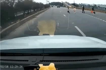Để con nhỏ chạy qua cao tốc, thái độ của cha mẹ gây tranh cãi