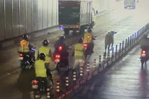 Giao thông hỗn loạn do bò lạc trong hầm lớn nhất Đông Nam Á