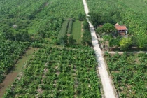 Hà Nội cho phép khai thác đất nông nghiệp tại bãi sông