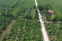 Hà Nội cho phép khai thác đất nông nghiệp tại bãi sông