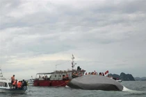  Vụ tàu du lịch đắm trên Vịnh Hạ Long: Đã tìm thấy 8 thi thể