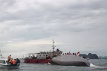  Vụ tàu du lịch đắm trên Vịnh Hạ Long: Đã tìm thấy 8 thi thể
