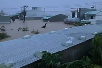 Mưa lớn kéo dài và nước từ thượng nguồn sông suối đổ về gây ngập lụt khắp nơi ở khu vực phía Đông tỉnh Đắk Lắk