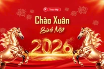 Cả nước hân hoan chào đón năm mới Bính Ngọ 2026