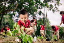 Bảo vệ môi trường phải là nền tảng của phát triển bền vững