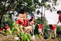 Bảo vệ môi trường phải là nền tảng của phát triển bền vững