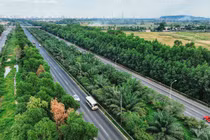 Không trồng cây xanh trên dải phân cách: Hết lãng phí... tai nạn giao thông?!