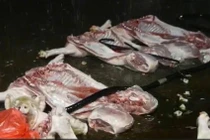 Vụ giết mổ, tiêu thụ thịt lợn chết: Các đối tượng khai gì?