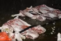 Vụ giết mổ, tiêu thụ thịt lợn chết: Các đối tượng khai gì?