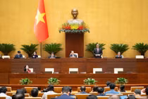 Luật An ninh mạng 2025 bảo vệ nhóm yếu thế trên không gian mạng