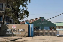 Hơn 120 tấn lợn bệnh, HaLong Canfoco nói không đưa vào sản xuất, cung ứng