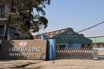 Hơn 120 tấn lợn bệnh, HaLong Canfoco nói không đưa vào sản xuất, cung ứng