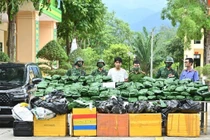 Triệt phá đường dây mua bán 240 kg cần sa khô ở Hà Tĩnh