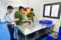 Sản xuất hàng giả, Giám đốc Công ty Yến sào Tuấn Dương & TKT bị khởi tố