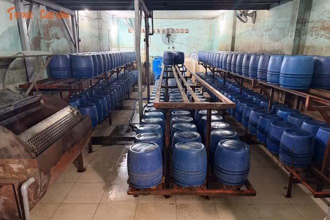 Hơn 1.000 tấn giá đỗ tẩm hóa chất cấm bị bắt giữ tại TP HCM