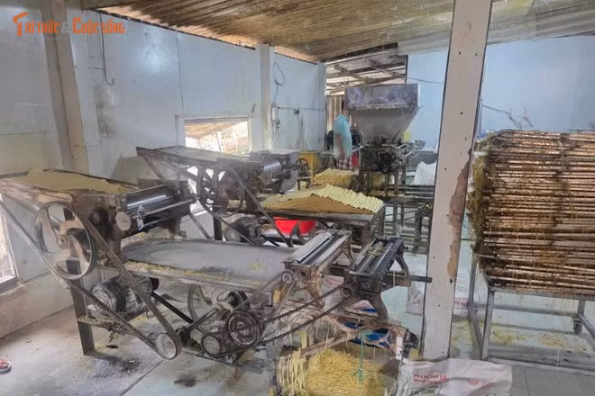 Hé lộ vụ triệt phá cơ sở mì tươi chứa chất cấm quy mô lớn tại TP HCM