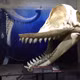 Livyatan: Quái vật đại dương từng đe dọa cá mập Megalodon