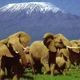 Cảnh quan kỳ vĩ Amboseli Kenya nơi ở của đàn voi lớn nhất giới