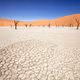 Deadvlei: Khu rừng chết trăm tuổi giữa sa mạc Namibia