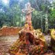 Osun-Osogbo: Rừng thiêng bảo vệ hàng trăm năm vì lời hứa linh thiêng