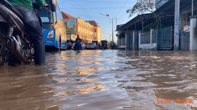kto-br_3.jpg
