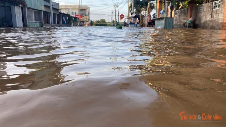 kto-br_4.jpg