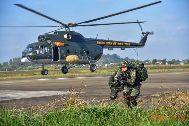 kto-br_14.jpg