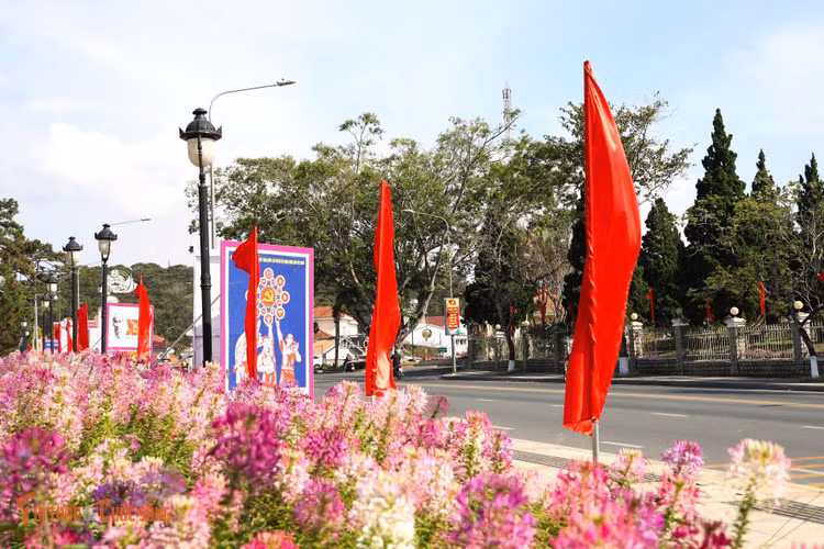 kto-bl_1-7.jpg