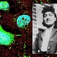 Tế bào bất tử của Henrietta Lacks, đằng sau cuộc chiến pháp lý kéo dài