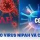 Bệnh do virus Nipah có nguy hiểm như Covid-19?
