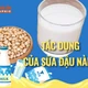 [INFOGRAPHIC] Lợi ích của sữa đậu nành với sửa khỏe