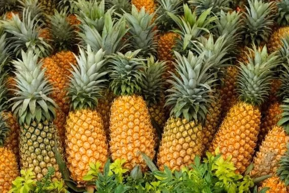 Dứa hỗ trợ tăng chức năng thận nhờ bromelain