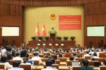 Nghiên cứu mô hình đơn vị hành chính đô thị đặc biệt