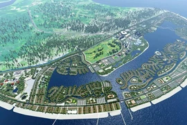 CEO VinEnergo: 'Sự an toàn của hệ sinh thái biển Cần Giờ là ưu tiên tối thượng'