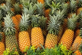 Dứa hỗ trợ tăng chức năng thận nhờ bromelain