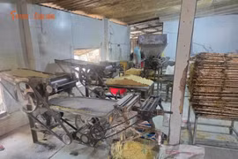 Hé lộ vụ triệt phá cơ sở mì tươi chứa chất cấm quy mô lớn tại TP HCM