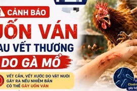 Cụ bà 86 tuổi cứng hàm, khó nuốt sau vết thương do gà mổ vì uốn ván