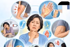 Mệt mỏi, tê tay chân, co cơ: Khi nào cần nghĩ đến thiếu canxi?