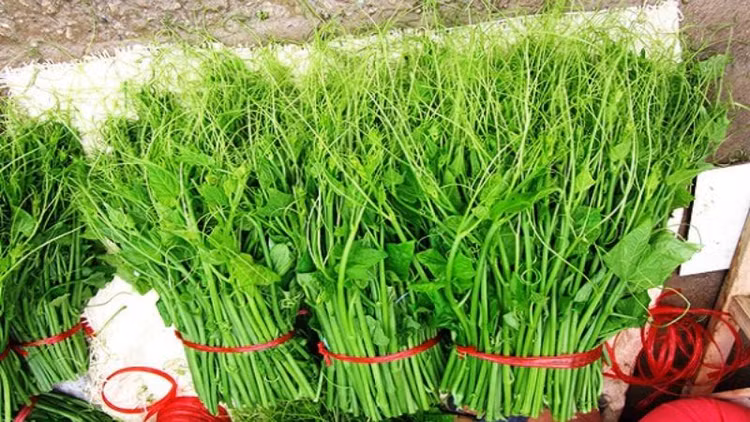 Kham pha nhung dac san nuc tieng cua Tam Dao
