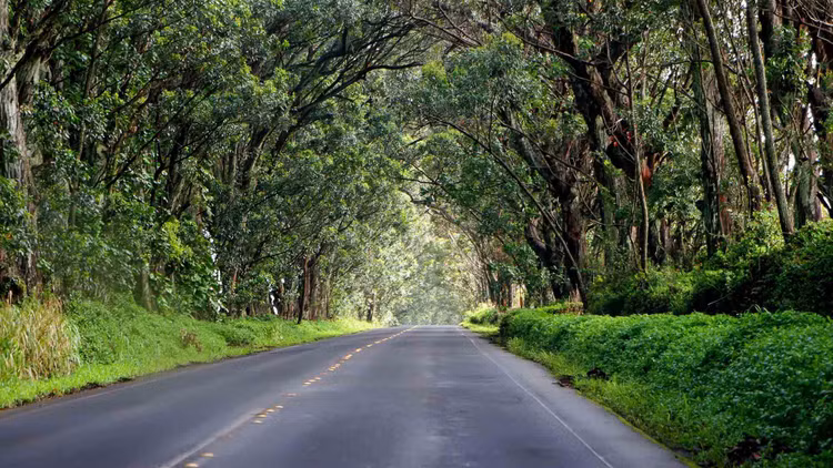 Lạnh gáy các địa điểm ma ám ở Hawaii, người đến 'tởn đến già' - Hình 7 Lanh gay cac dia diem ma am o Hawaii, nguoi den 'ton den gia'-Hinh-7