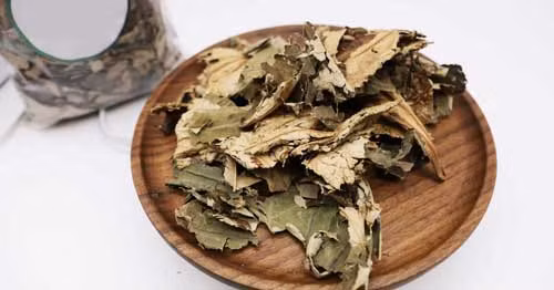 Vì sao lá sen được mệnh danh "siêu hút mỡ"? ảnh 4