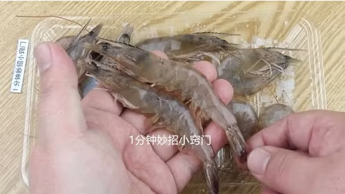 Nên chọn tôm cong hay thẳng? Câu trả lời kinh ngạc